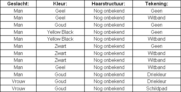 wp512f337d.png