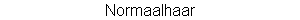 wp6c39697b.png