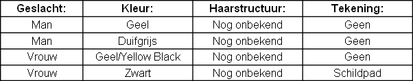 wp82078fa0.png